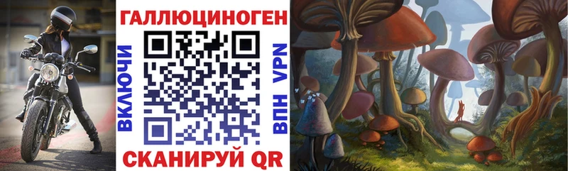 Псилоцибиновые грибы ЛСД  Купить где  Новокубанск 